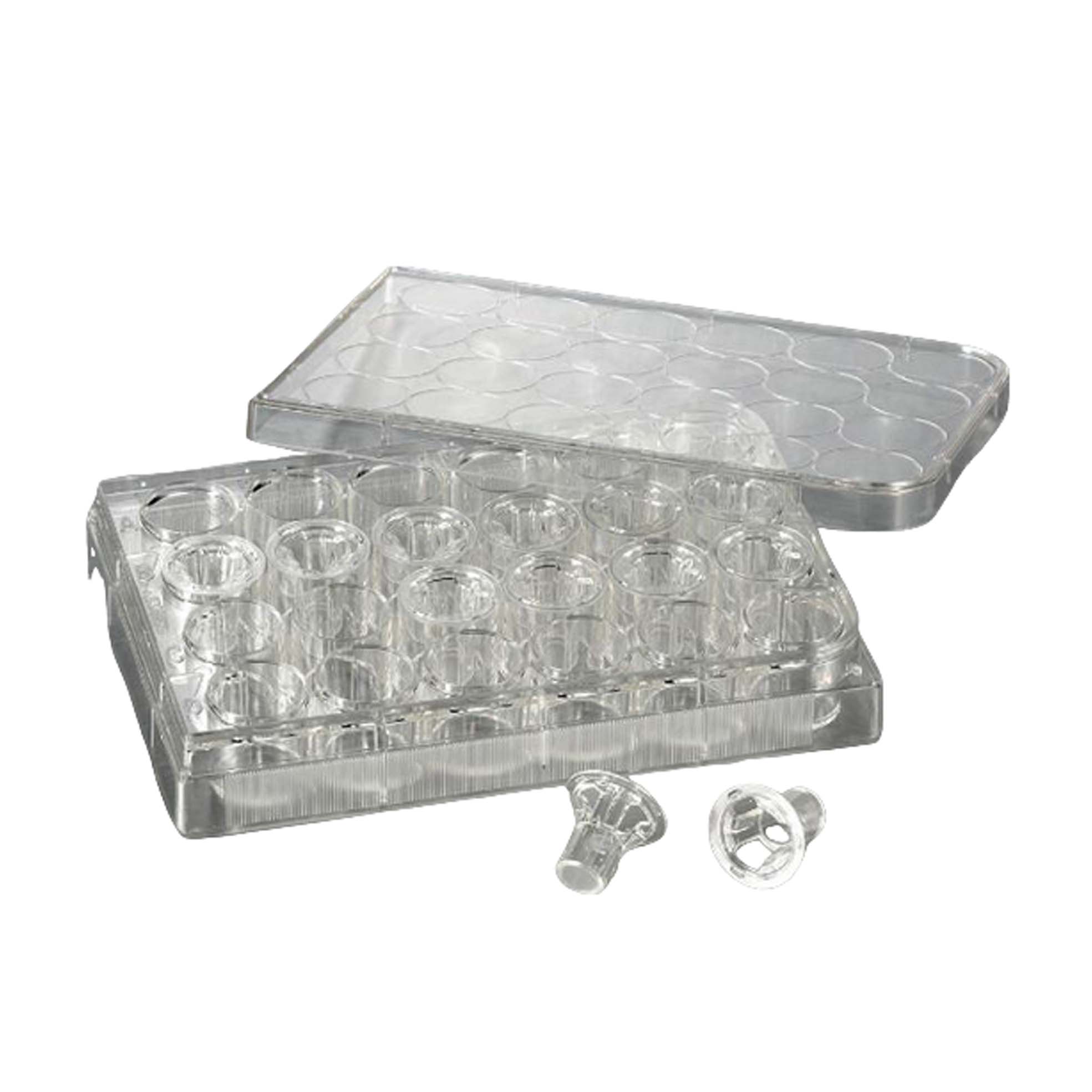 Transwell嵌套，含24孔板（PC膜，6.5mm，孔径5.0um) 6.5 mm Transwell® with 5.0 µm Pore Polycarbonate Membrane Insert, Sterile
